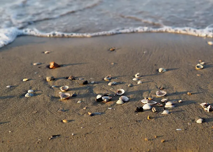 Apartment Cozy Flat Perfect For Families Next To The