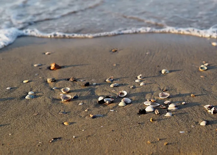 Appartement Cozy Flat Perfect For Families Next To The Bibione